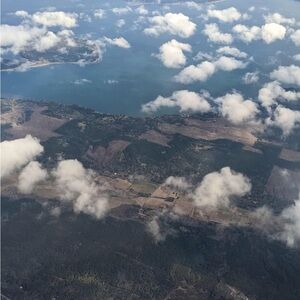 Live show notification!!